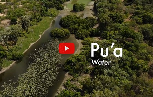 Pu'a - Water (Mapoon)