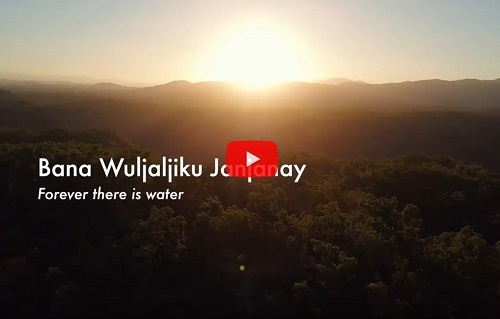 Bana Wuljaljiku Janjanay - Forever there is water (Wujal Wujal)